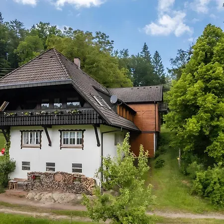 Apartman Vogelnest *